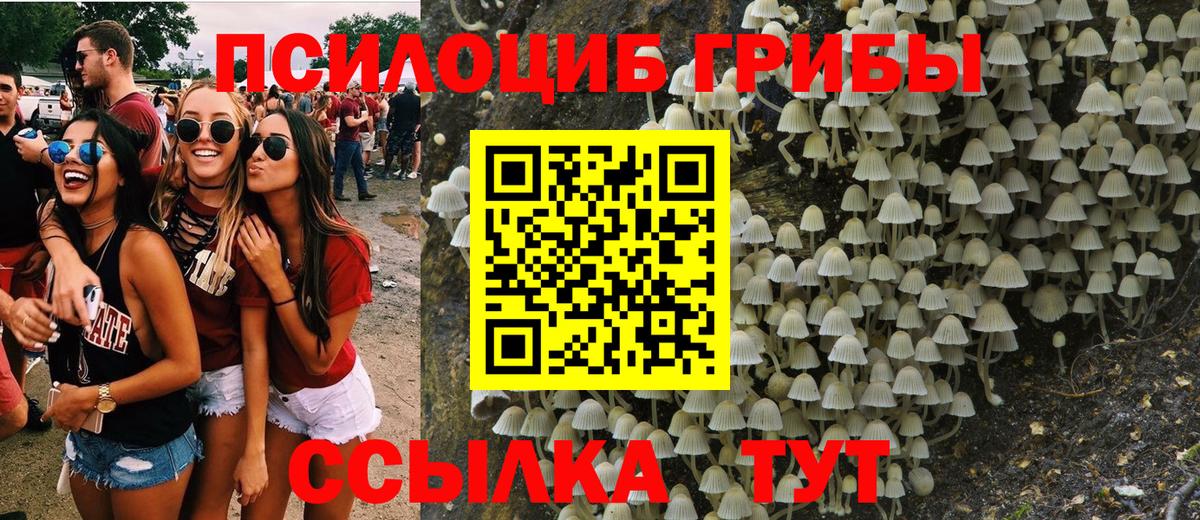 Псилоцибиновые грибы прущие грибы  Вход с VPN  Щёлково 